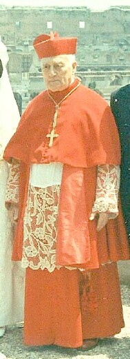 Portrait of Cardinal Aloisi Masella