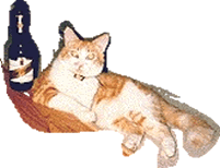 beer max - cat with beer bottle