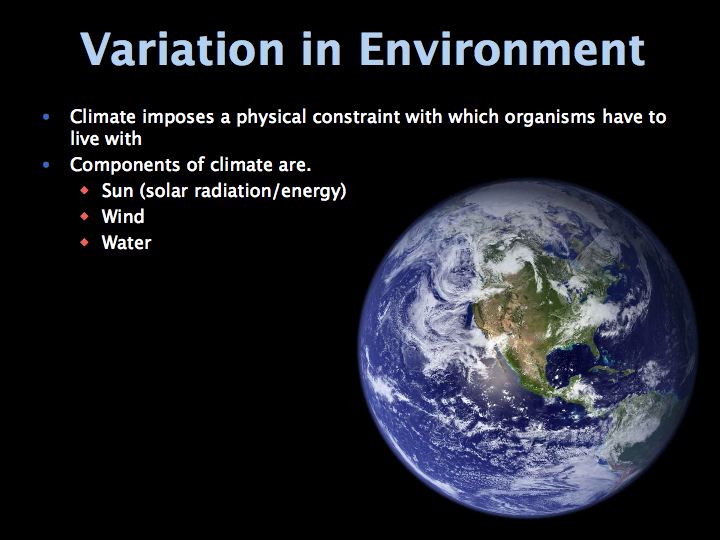 Link to Quicktime movie of Environment Lecture