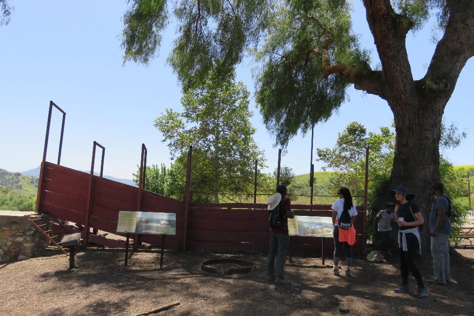 cattle loader