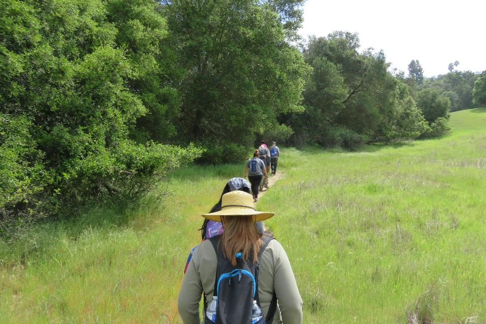 topanga meadow