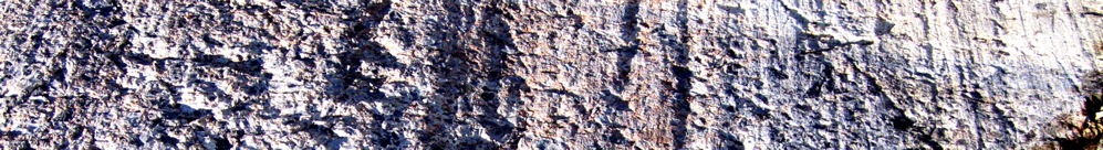 banners-619 - 08
