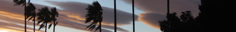 banner - 14