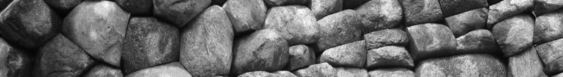banner - 19