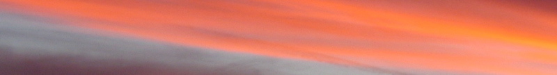 banner - 4