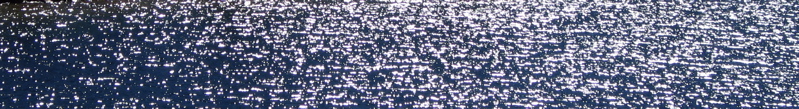 banner - 9