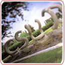 CSUN