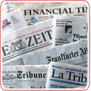 Newspaper