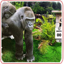 Zoo