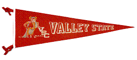 Valley State flag