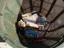 Various books thrown out in a large trash can.