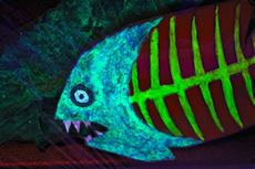 One birght fish from Edie Pistolesi's ART 100 project.