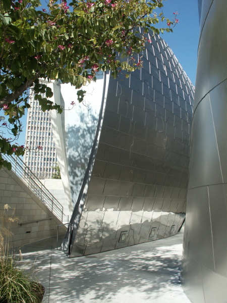 In the WDCH Garden