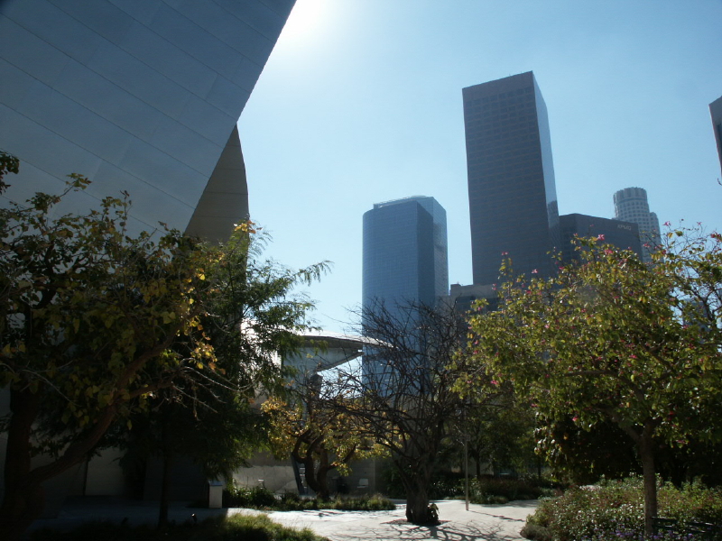 In the WDCH Garden