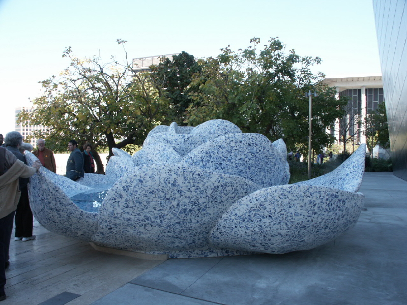In the WDCH Garden