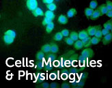 Cell, Molecules, & Physiology link to research interests