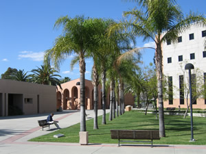 coe