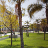 CSUN campus.