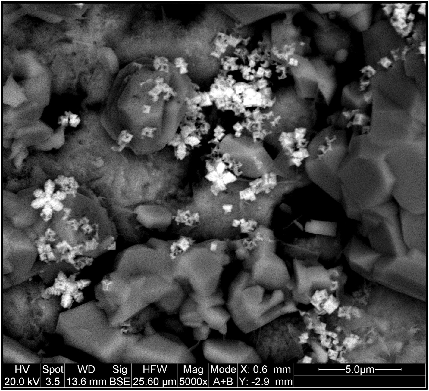 Scanning electron microscope image of bronze exposed to hydrogen sulfide.  The surface is decorated with small white crystals with the appearance of flowers due to lead sulfide.