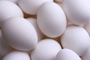 eggs-1.png