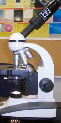 letter-e-under-microscope