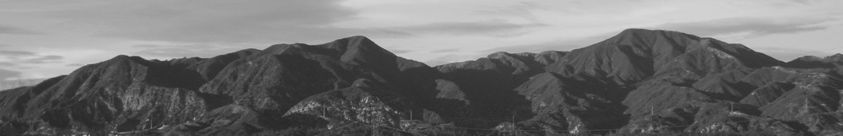 banners-619 - 17