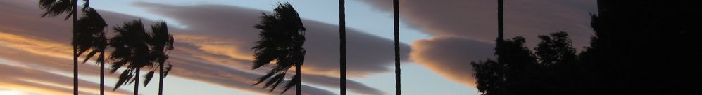banners-619 - 20
