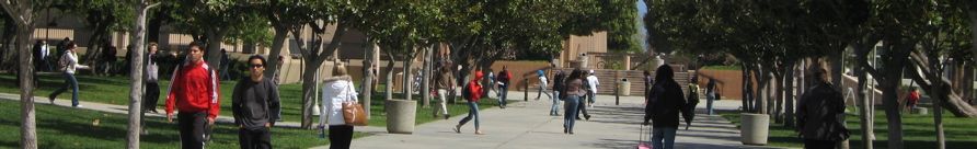 banners-619 - 38