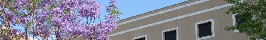 banners-619 - 40