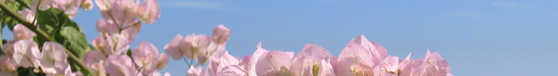 banner - 3