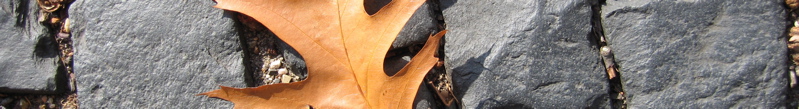 banner - 22