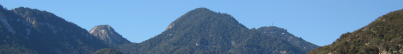 banner - 23