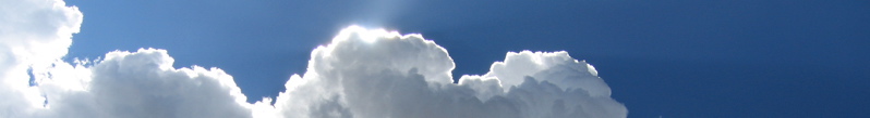 banner - 8