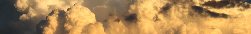 banner - 2