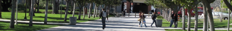 banner - 27