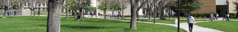 banner - 28
