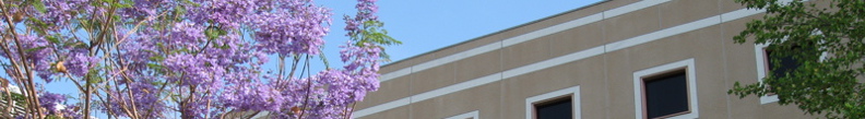 banner - 31