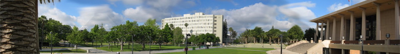 banner - 32