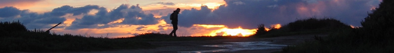 banner - 6