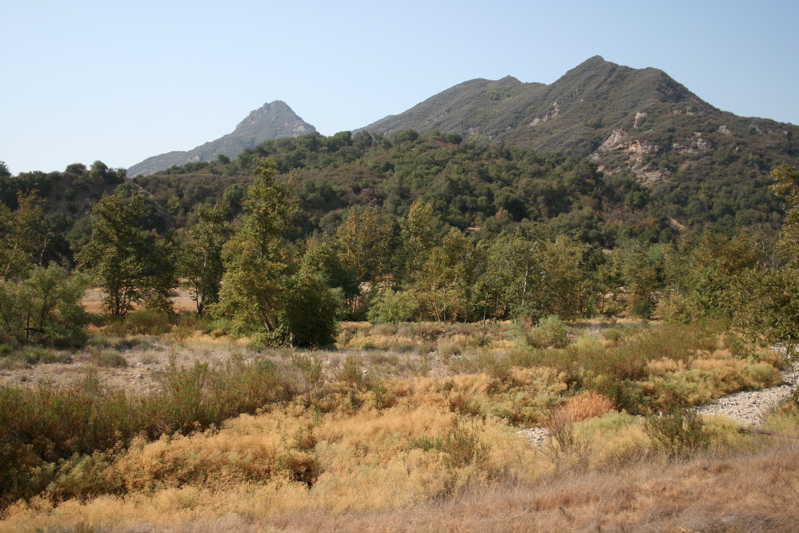 Malibu Creek State Park