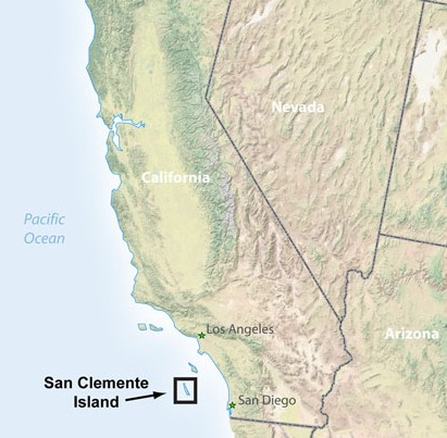 San Clemente Island as seen from NASA image.