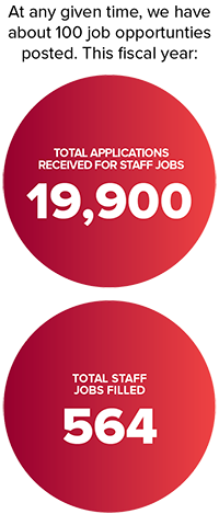 Total Application for Staff Jobs