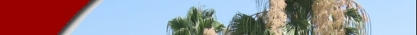 Image Slice