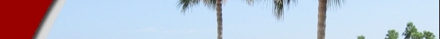 Image Slice