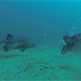 A marine biology student poses underwater with a giant sea bass.