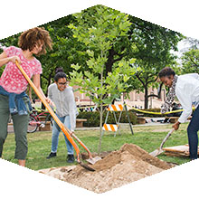 CSUN is given the Tree Campus USA distinction for the third year in a row.