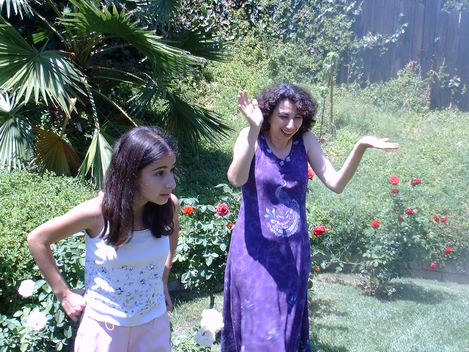 DCAArmenianDance.JPG