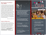 BCaBA brochure