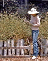 Photo Jolene Pucci at Greenhouses