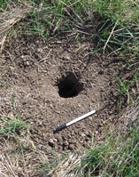 Photo Artificial Gopher Mound